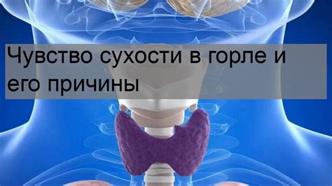 Возможные причины сухости в горле и жажды