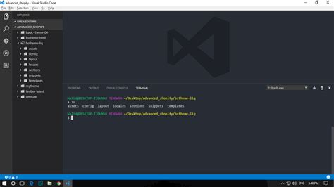 Возможные проблемы при очистке терминала в Visual Studio Code на Mac OS