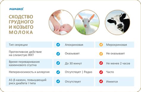 Возможные проблемы совместного употребления арахиса и грудного молока