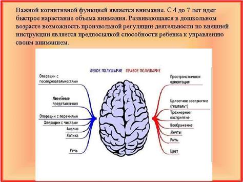 Возможные проблемы с когнитивной функцией