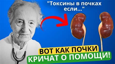 Возможные проблемы с почками