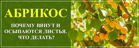 Возможные способы исправления проблемы: