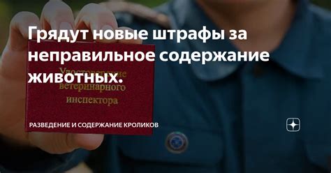 Возможные штрафы за неправильное использование