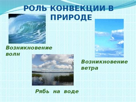 Возникновение пленки на воде