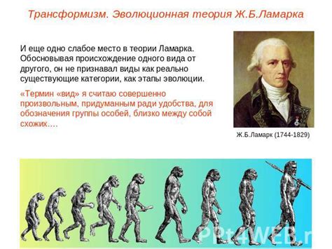 Возникновение Homo sapiens и его место в эволюции