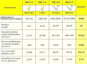 Возрастные особенности кормления куриными шеями