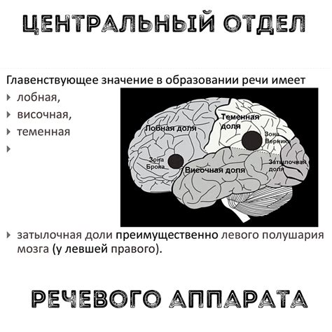 Вокальные техники: как добиться харизматичного голоса Оззи