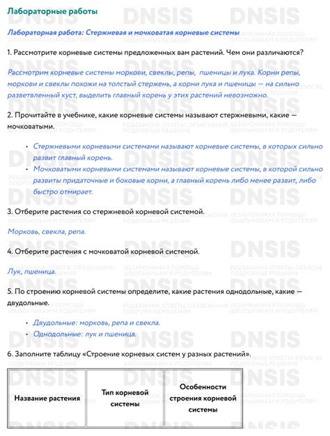 Вопросы и ответы по загрузке осциллограммы в рето 61: решение типичных проблем