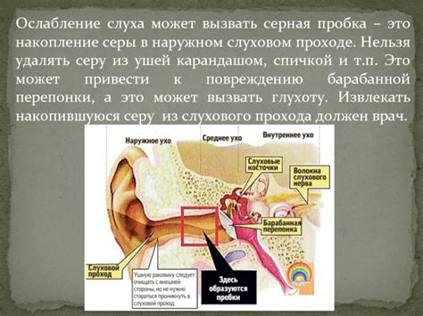 Воспаление в наружном слуховом проходе