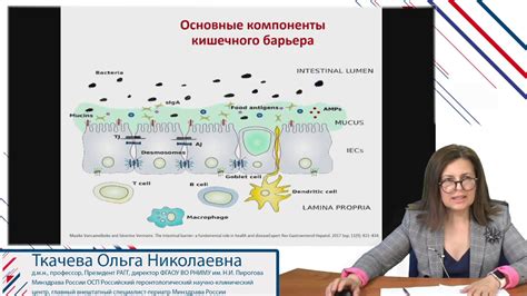 Воспаление слизистой оболочки ЖКТ