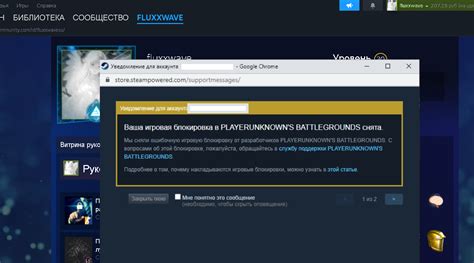 Воспользуйтесь программами для снятия блокировки Steam