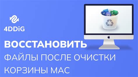 Восстановите файлы после опустошения корзины