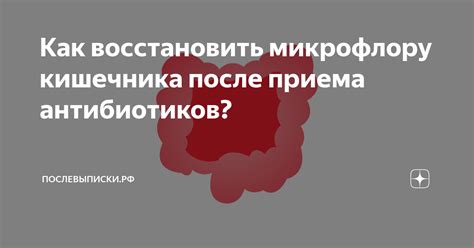 Восстановление микрофлоры после приема антибиотиков