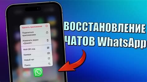 Восстановление переписки WhatsApp на iPhone