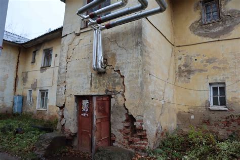 Вред, причиняемый черной плесенью