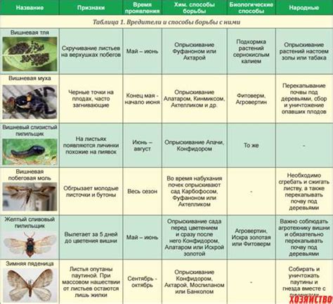 Вредители растений и методы их борьбы