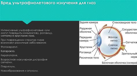 Вредное воздействие ультрафиолетового излучения на глаза