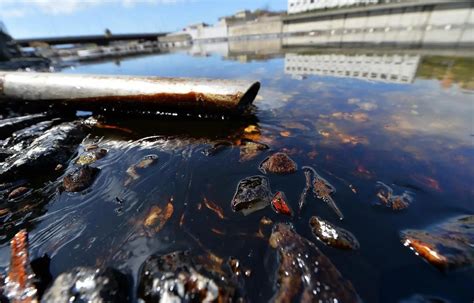 Вредные последствия растворения меда в горячей воде