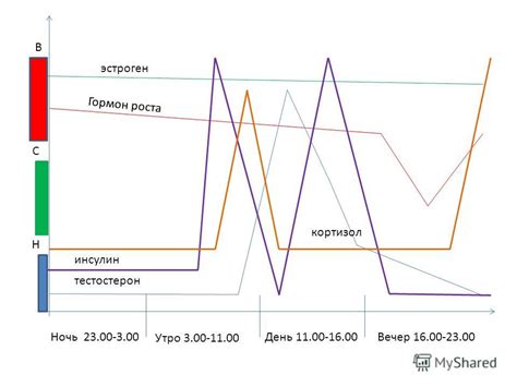 Вредные привычки, препятствующие сжиганию жира