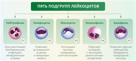 Вредоносные источники крови