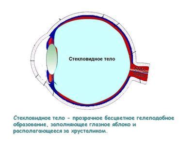 Вред для зрительной функции