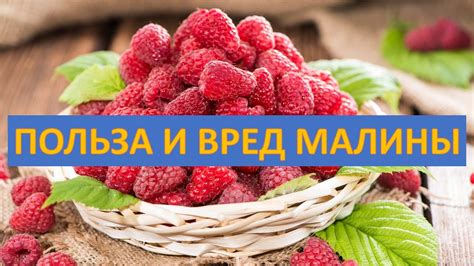 Вред малины с молоком для организма