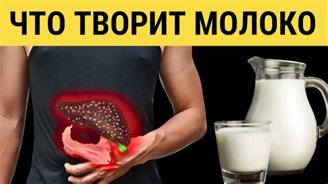 Вред молока для мужского организма