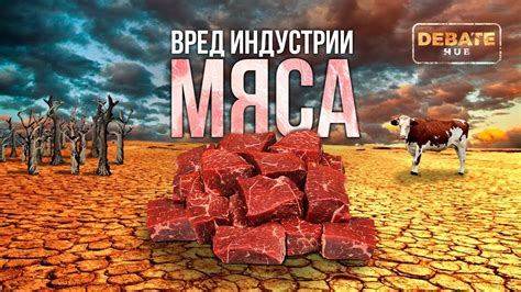 Вред промышленного мяса