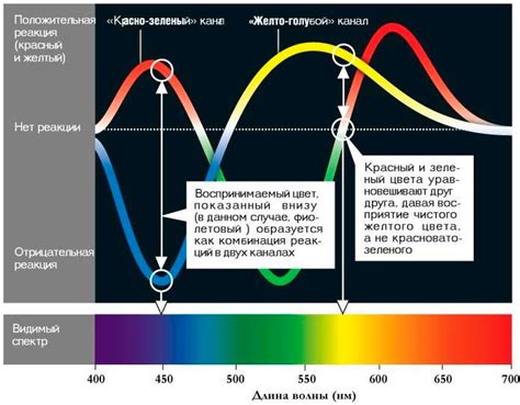 Вред синего света