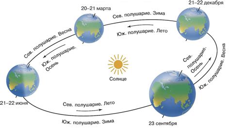 Время года и его влияние на активность енотов