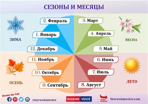 Время года и сезон