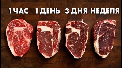 Время засолки и продолжительность процесса