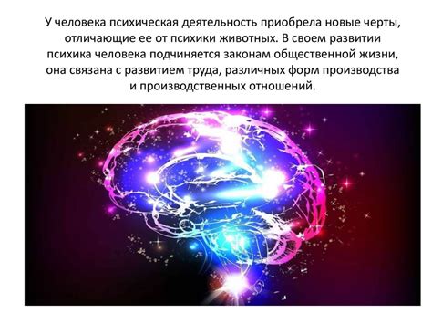 Врожденность или приобретенность: наука о развитии любопытства