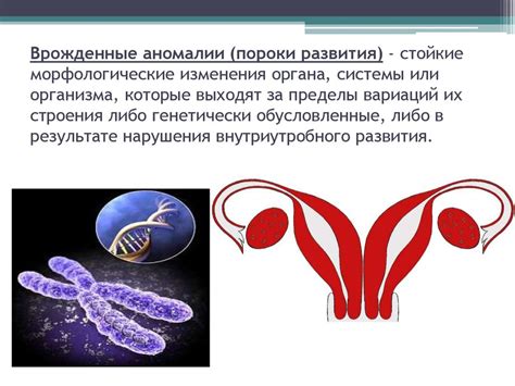 Врожденные аномалии развития половых органов и высокая концентрация жидкой семенной жидкости