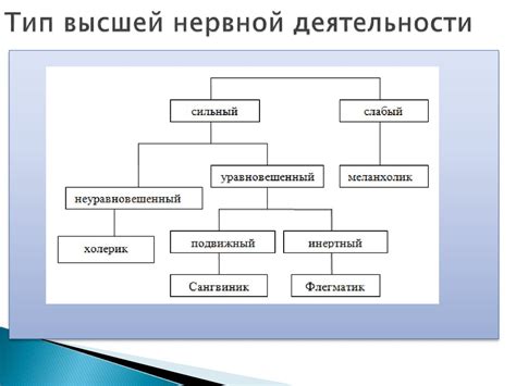 Врожденные особенности и факторы, влияющие на внешность