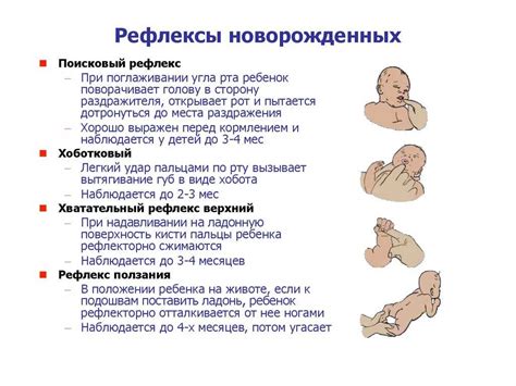 Врожденные рефлексы и автоматические действия