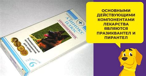 Все о лечебном препарате Левомекол для собак