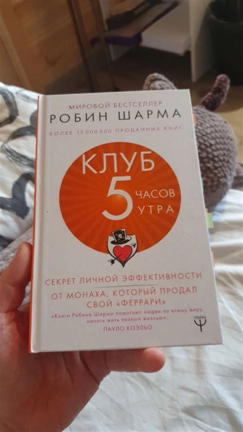 Вставать раньше солнца: пять причин, почему это важно