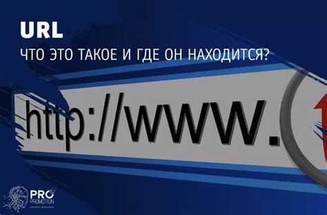 Вставляем URL адрес