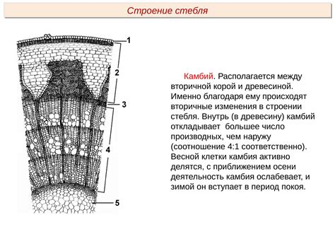 Вторичная древесина