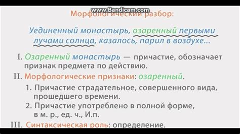 Второй раздел: Разбор и объяснение дремливости в гостях