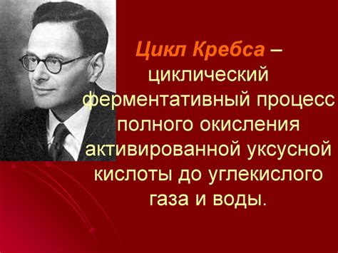 Второй этап: процесс уксусной ферментации