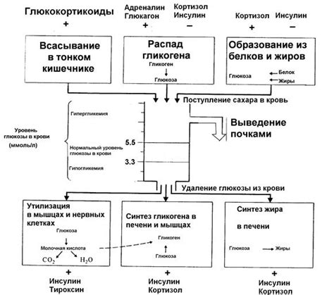 Второстепенные факторы: регуляция инсулина и метаболические процессы