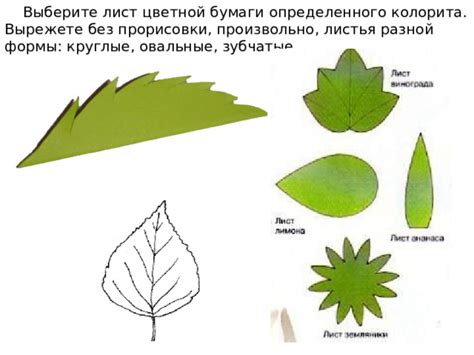 Выберите лист бумаги