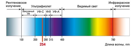 Выбор УФ-фонаря перед проверкой