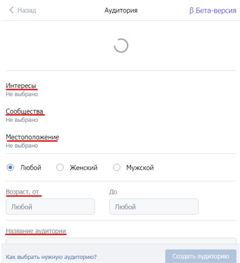 Выбор аудитории в ВКонтакте
