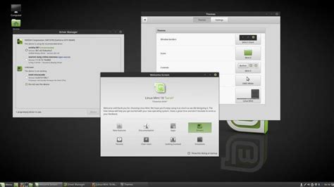 Выбор версии Linux Mint