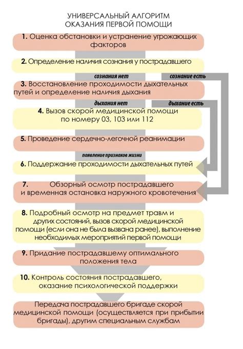 Выбор ингредиентов и последовательность действий