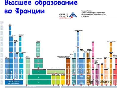 Выбор интересующей вас области знаний