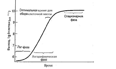 Выбор исходного материала: